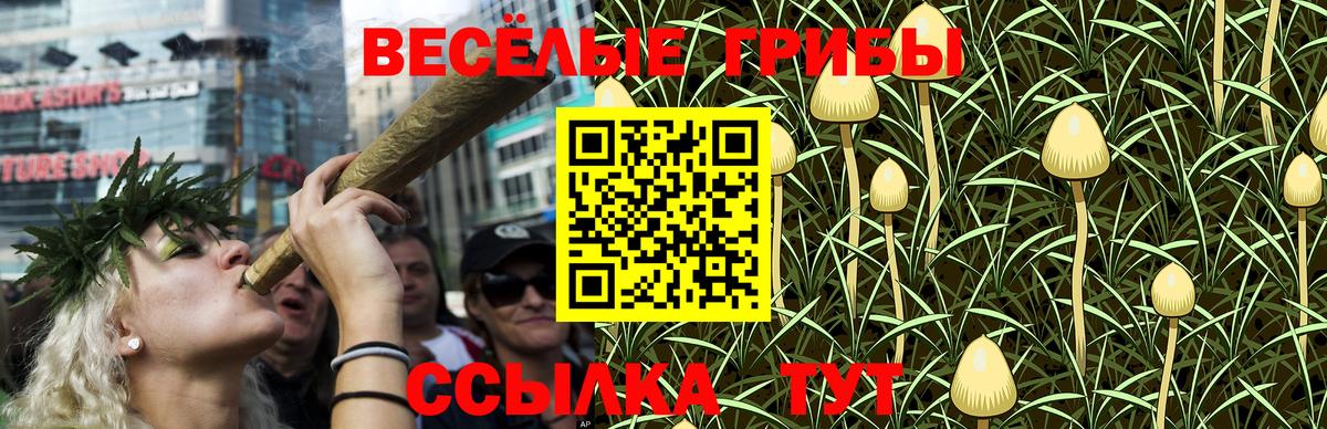Галлюциногенные грибы MAGIC MUSHROOMS  Вход с VPN  Галлюциногенные грибы Psilocybe  Новокубанск 