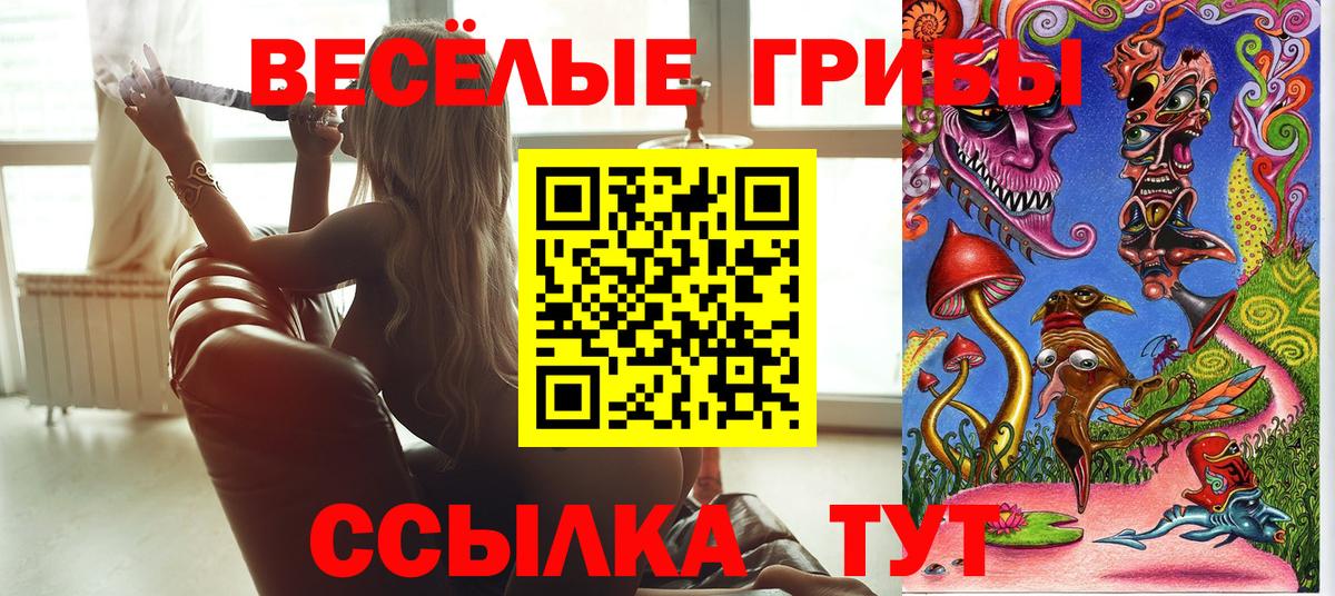 Псилоцибиновые грибы ЛСД Новокубанск